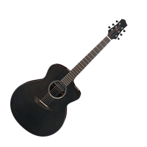 Ibanez（アイバニーズ）から「ジョン＝ゴン」シグネイチャーのエレアコギター「JGM5-BSN」が発売！