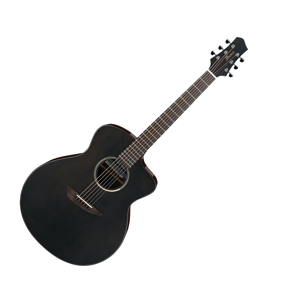 Ibanez（アイバニーズ）から「ジョン＝ゴン」シグネイチャーのエレアコギター「JGM5-BSN」が発売