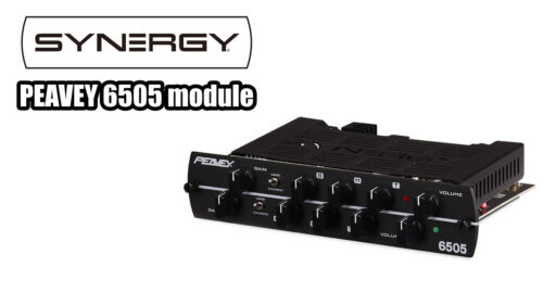 SYNERGY AMPS（シナジーアンプ）からハイゲイン・ギターアンプの代名詞『PEAVEY 6505』が、SYNERGY AMPSのモジュールのラインナップに追加され発売！