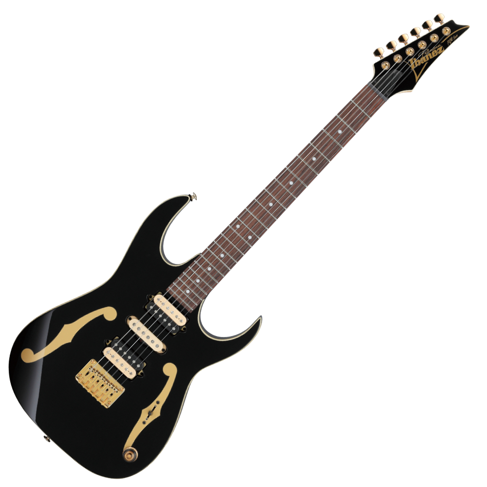 Ibanez PGM80P-NT ギター エレキギター - ギター