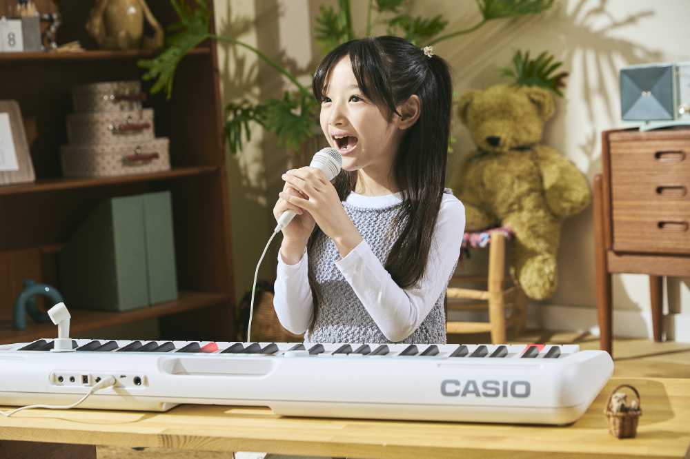 CASIO カシオ Casiotone LK-335 61鍵盤 光ナビゲーション カシオトーン キーボード