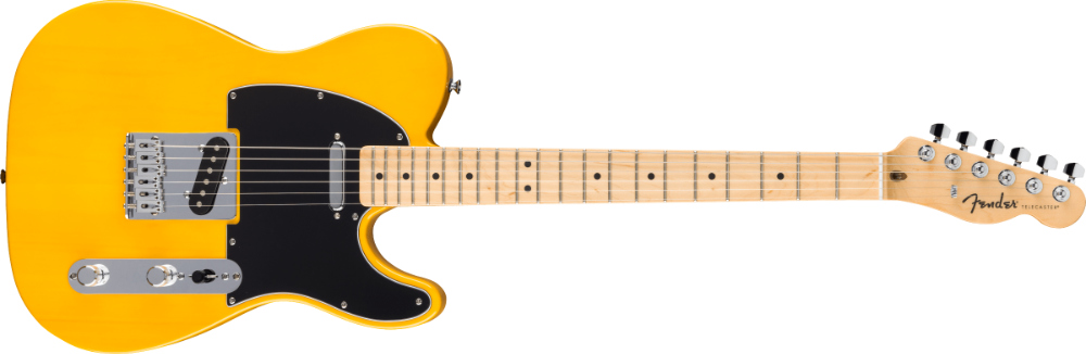 Fender フェンダー Standard Telecaster MN BPG BTB エレキギター テレキャスター