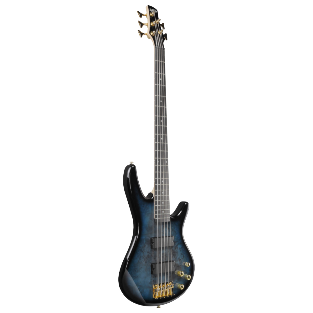 IBANEZ アイバニーズ GSR205PC-TMU Gio Transparent Marine Burst 5弦エレキベース