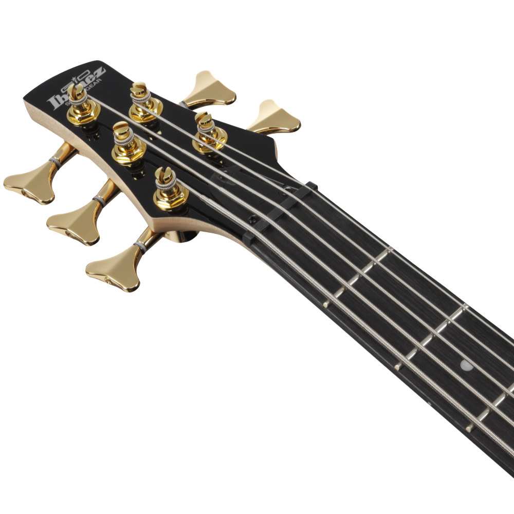 IBANEZ アイバニーズ GSR205PC-TMU Gio Transparent Marine Burst 5弦エレキベース