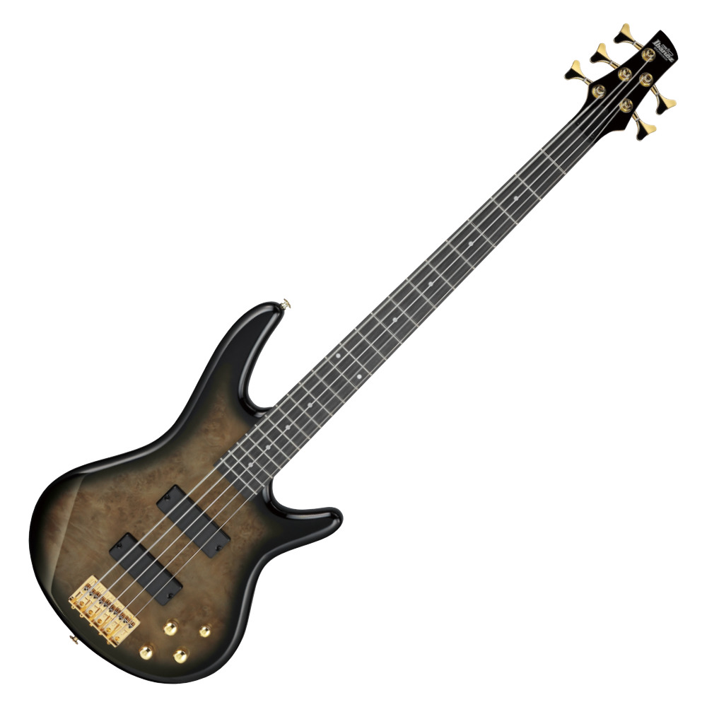 IBANEZ アイバニーズ GSR205PC-TPB Gio Transparent Pale Black Burst 5弦エレキベース