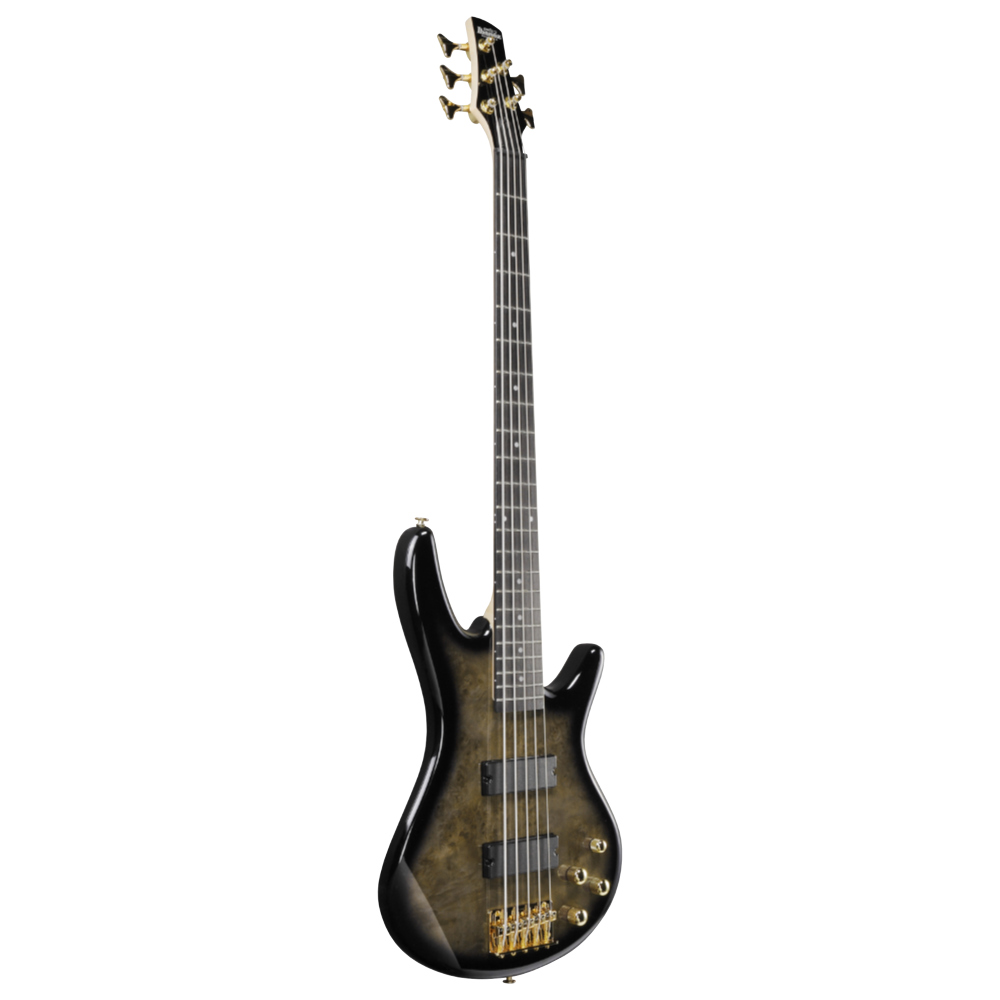 IBANEZ アイバニーズ GSR205PC-TPB Gio Transparent Pale Black Burst 5弦エレキベース