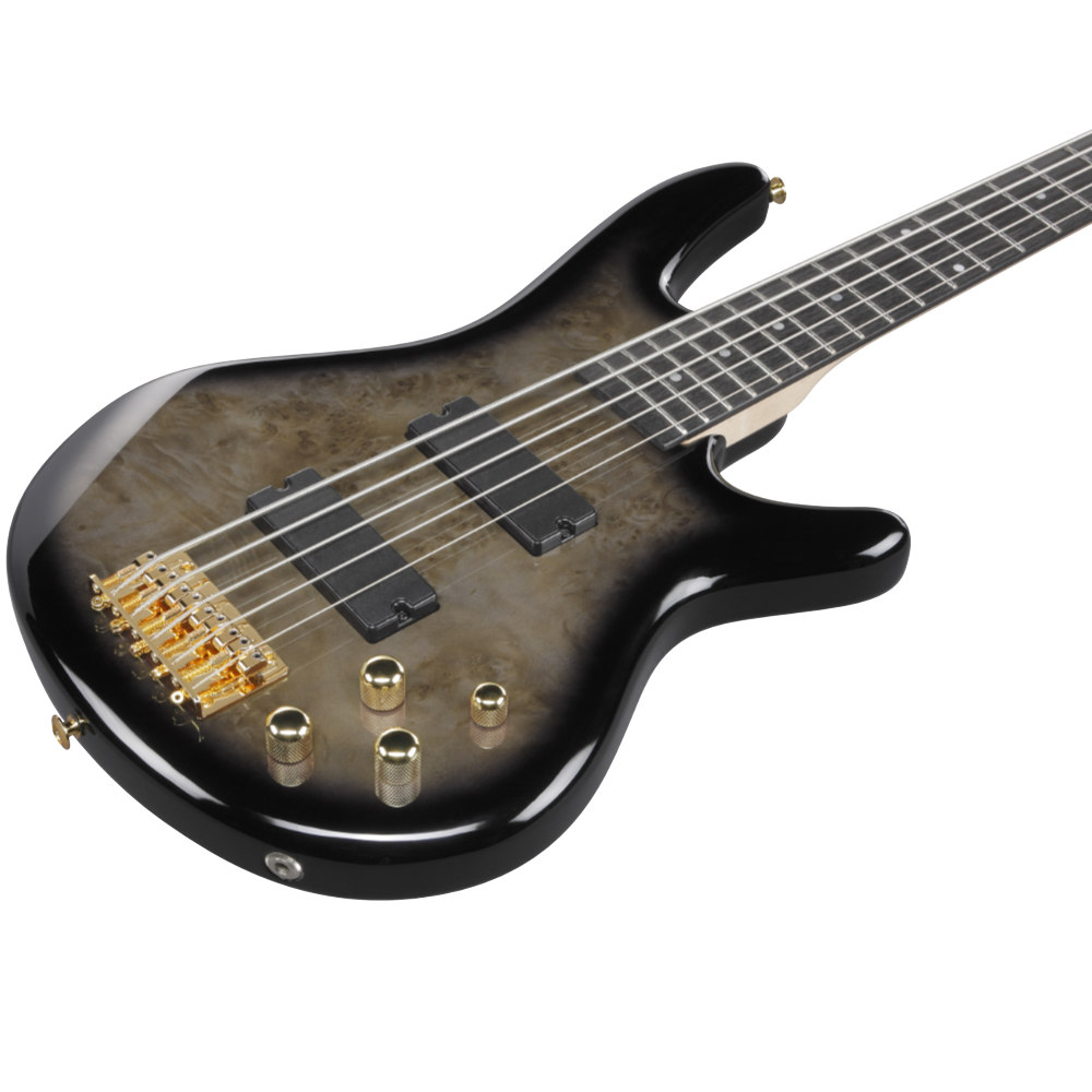 IBANEZ アイバニーズ GSR205PC-TPB Gio Transparent Pale Black Burst 5弦エレキベース