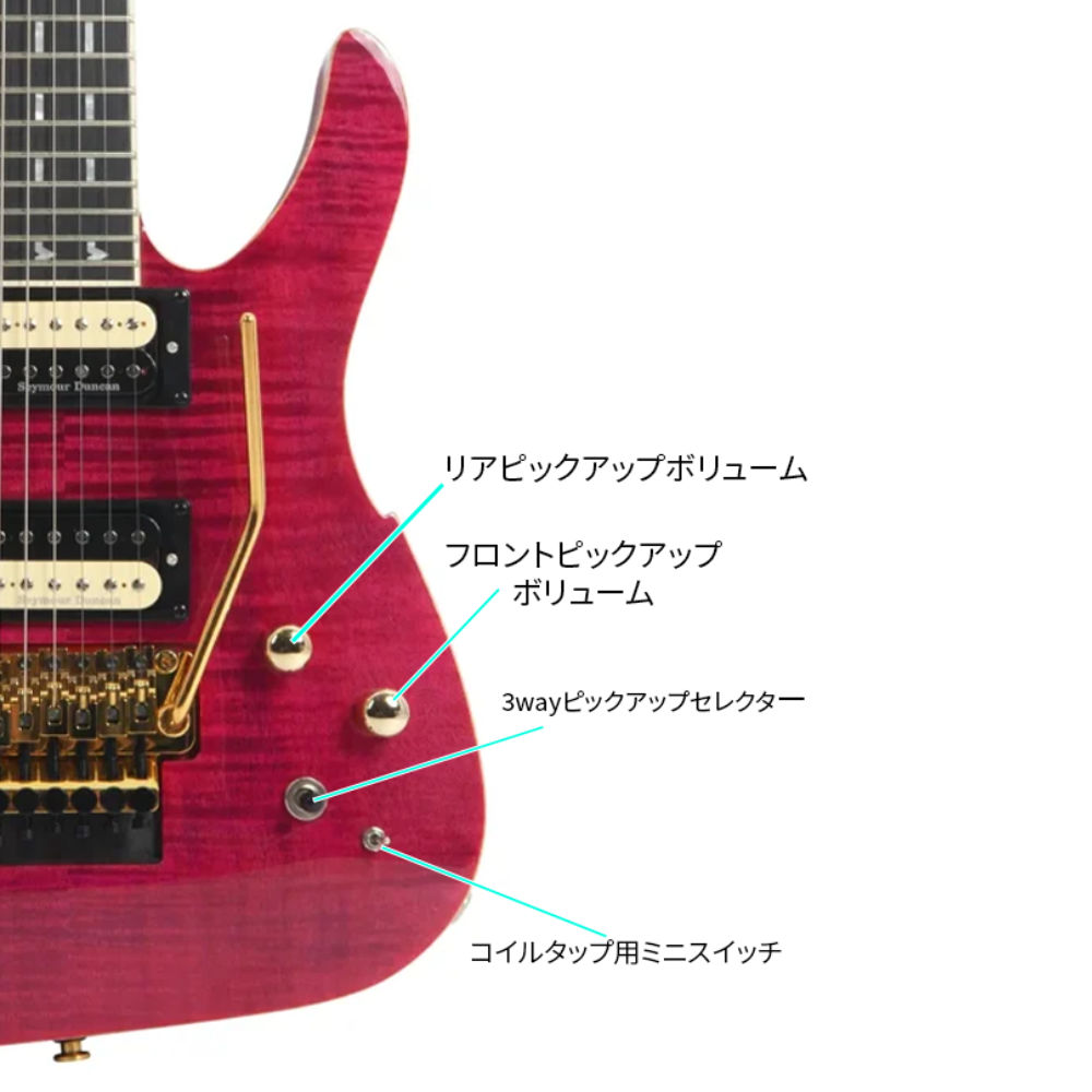 Adrian Vandenberg Signature Guitar Purple Flame Maple
