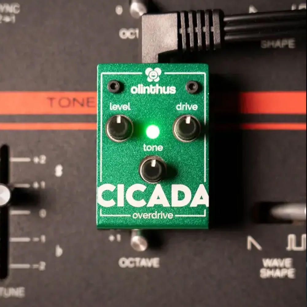 エフェクター Olinthus CICADA 超小型エフェクター オーバードライブ Over Drive オリンタス シカーダ