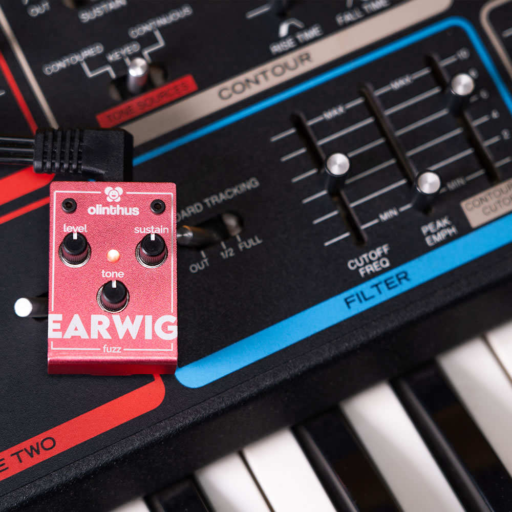 エフェクター Olinthus EARWIG 超小型エフェクター ファズ Fuzz オリンタス アーウィグ