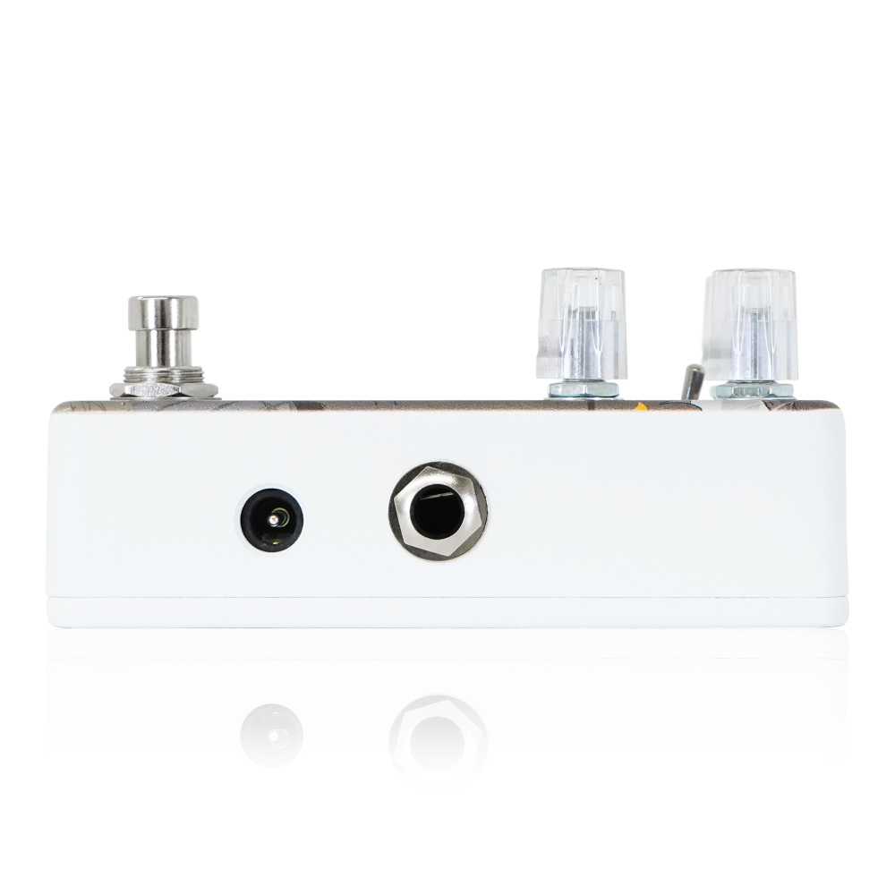 Animals Pedal アニマルズペダル Custom Illustrated BTR 数分間のエールを 外崎 大輔 リバーブ ギターエフェクター