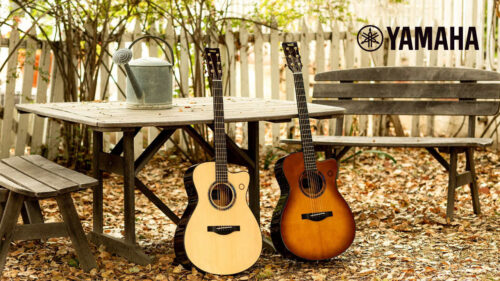 YAMAHA（ヤマハ）トランスアコースティックギターに コンサートカッタウェイスタイルの「TAS3 C」が登場！