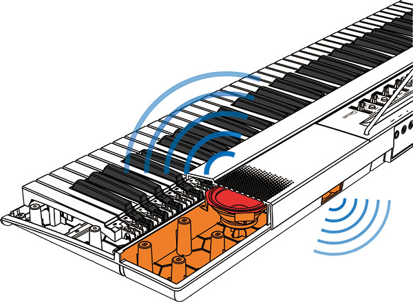生音もパワフルに響く。