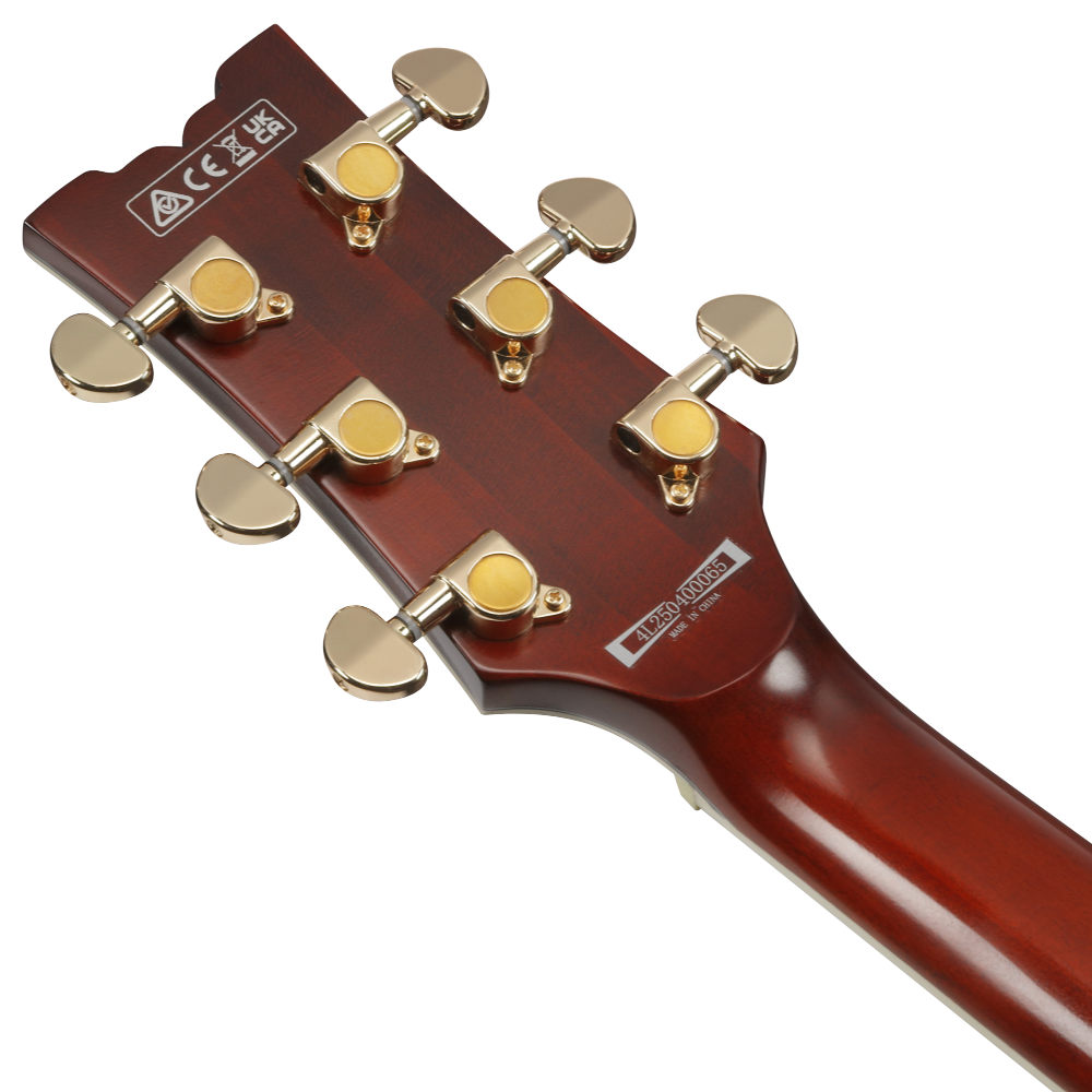 IBANEZ アイバニーズ AR625FMSP-CML ARTIST Series Caramel Burst Low Gloss エレキギター
