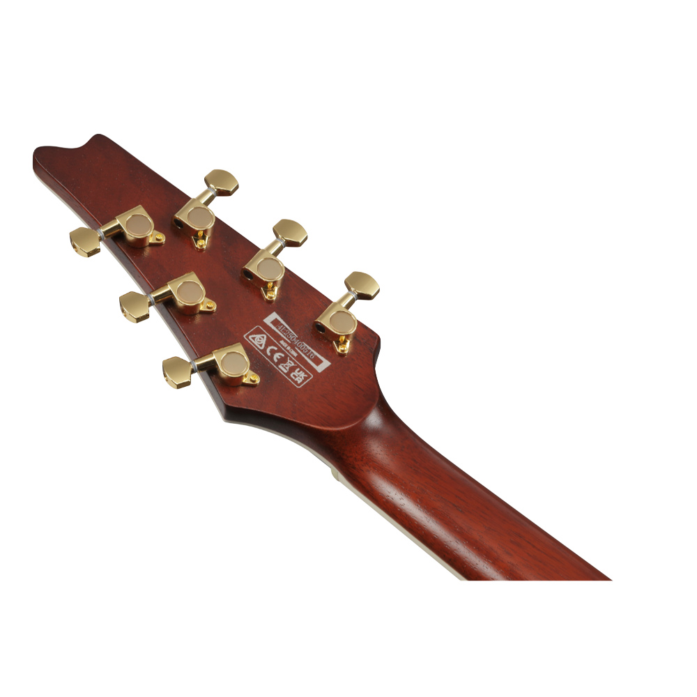 IBANEZ アイバニーズ Iceman IC420MFM-CML エレキギター