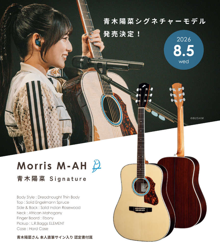 MORRIS モーリス M-AH 青木陽菜シグネチャーモデル エレクトリックアコースティックギター