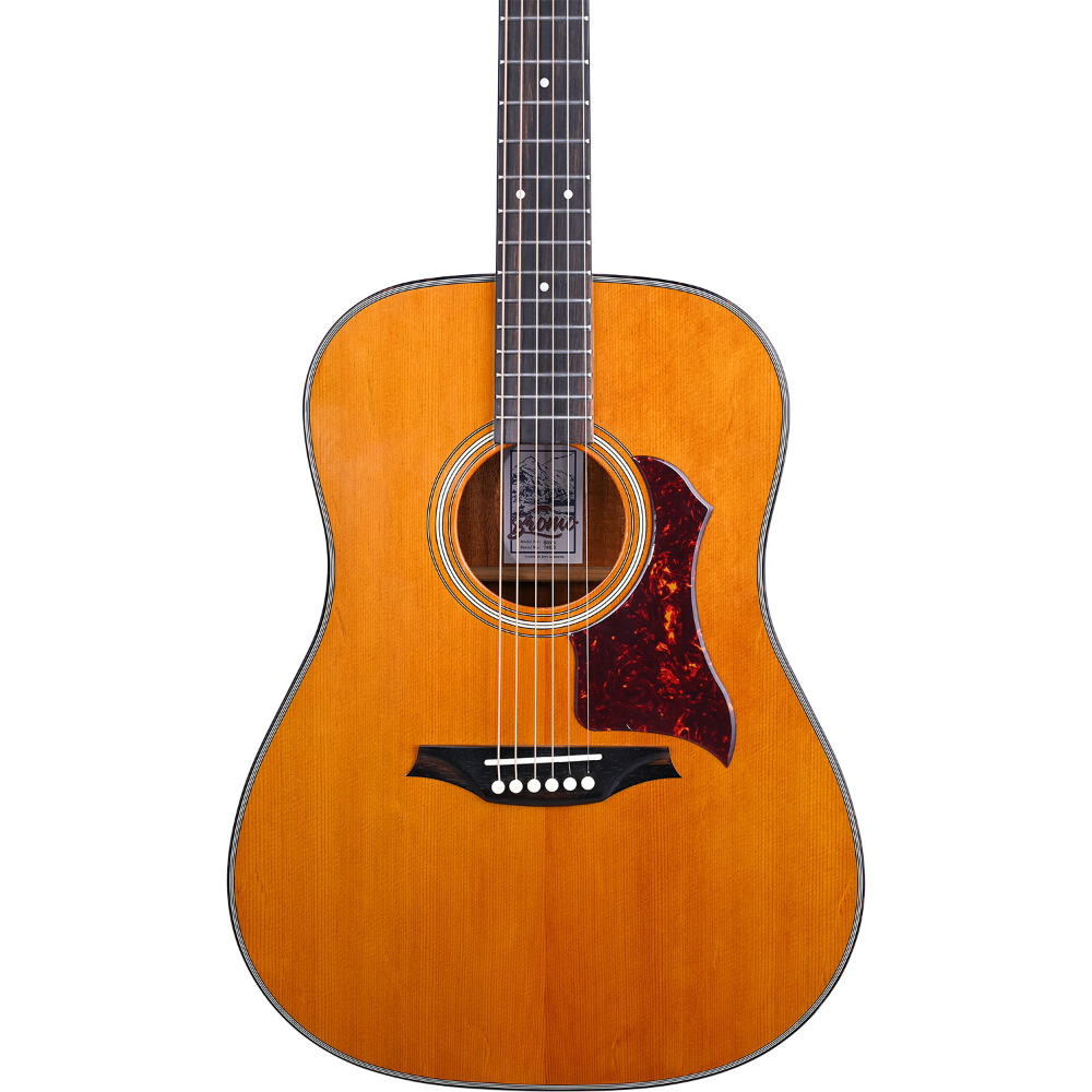 Bromo Guitars ブロモギターズ BAN1V アコースティックギター